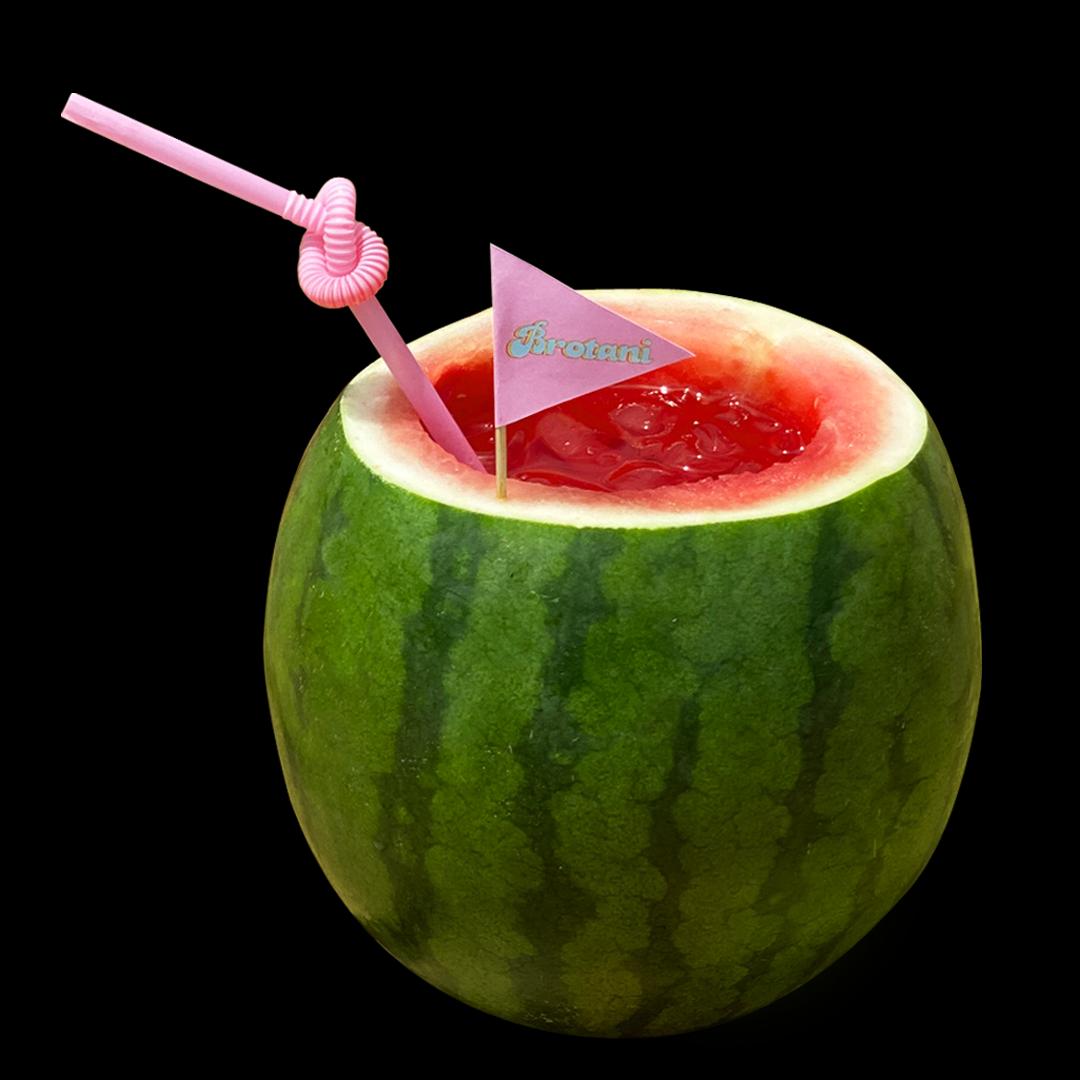 Watermelon Fruitcup